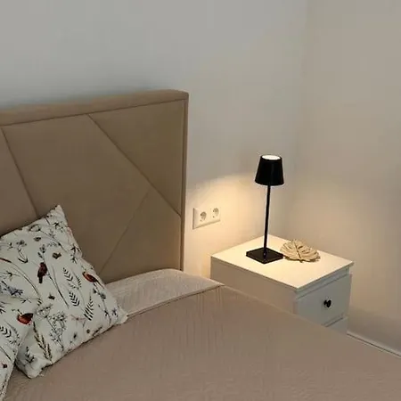Apartment Apartament Central Cu Curte Privata Chisinau